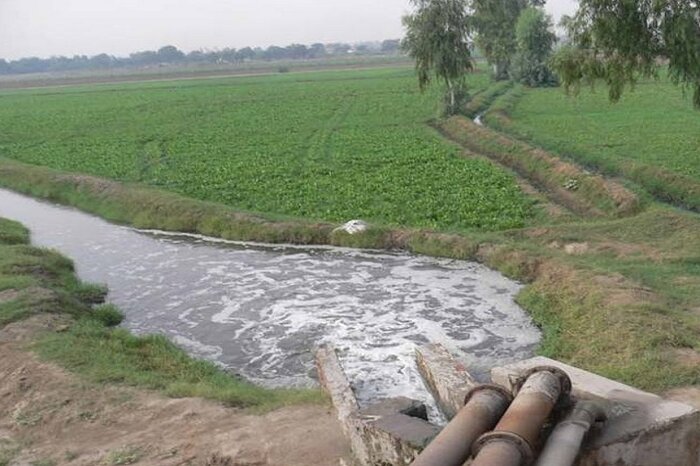 استفاده از پساب در کشاورزی می‌تواند همدان را از بحران کم آبی نجات دهد؟