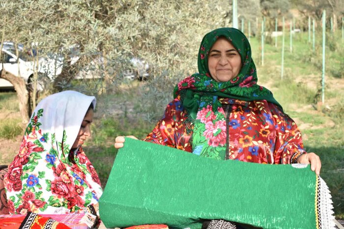 طلای سفیدِ احیاشده؛ جشنواره پنبه، رقص مزرعه و جامه در آغوش گردشگری