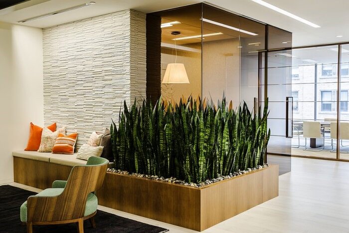 دکوراسیون خانهات را با گیاهان طبیعی بهشتی کن