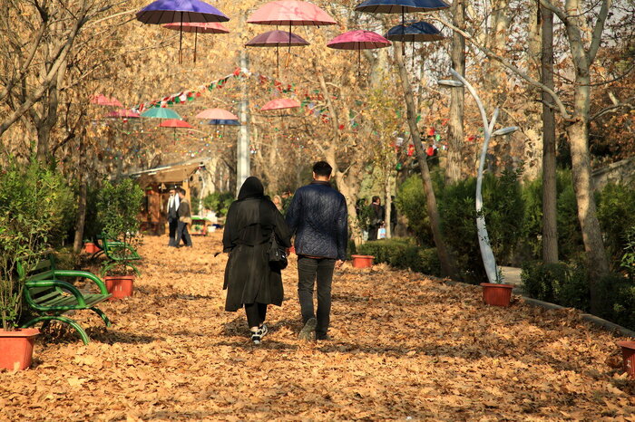 راهکارهای طلایی برای شادابی و غلبه بر افسردگی در پاییز