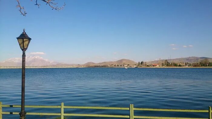 مرگ «نیلوفر» در سراب، سودجویان متهم ردیف اول