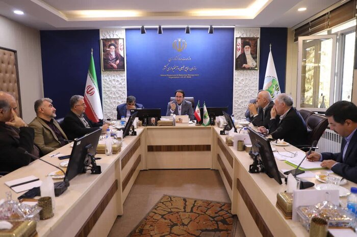 شناسایی سرمایه گذاران چوب در استان ها/احیای نهالستان ها با طرح کاشت یک میلیارد درخت