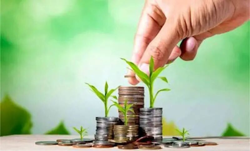 جزئیات اعطای تسهیلات ویژه اشتغال جوانان 1 جزئیات اعطای تسهیلات ویژه اشتغال جوانان/کارآفرینان حمایت میشوند