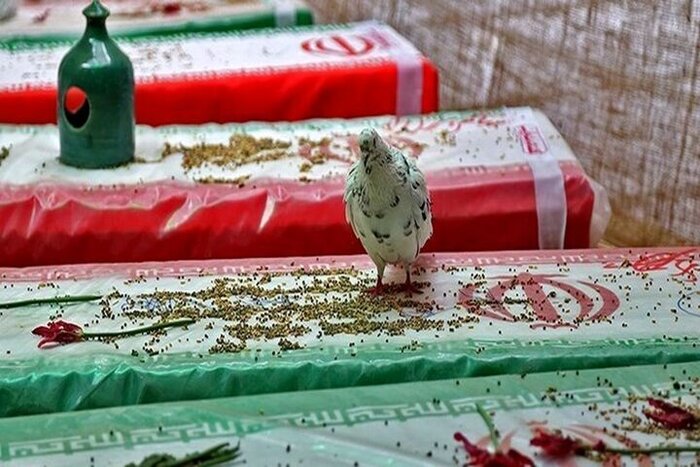 شهادت در روز عاشورا، پایان دنیای مردی از تبار ایمان