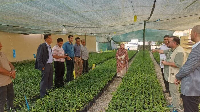 بازسازی زیرساخت‌های آبرسانی در «سایه‌خوش» هرمزگان با همکاری سازمان ملل