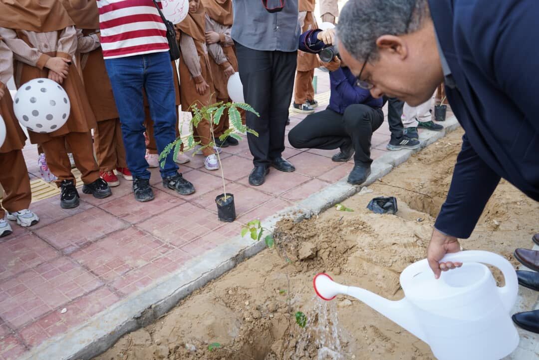 فرماندار بوشهر: پنج&zwnj;هزار اصله درخت در عالیشهر کاشت شد