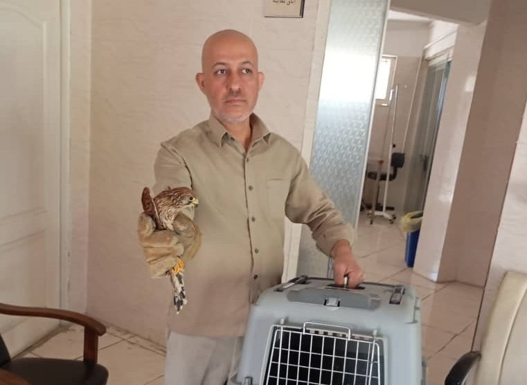 دستگیری 3 شکارچی متخلف در پارک سرخهحصار