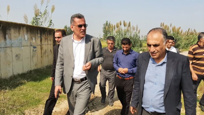 رهایی اراضی کشاورزی جویبار از خشکسالی با اجرای طرحهای آبرسانی