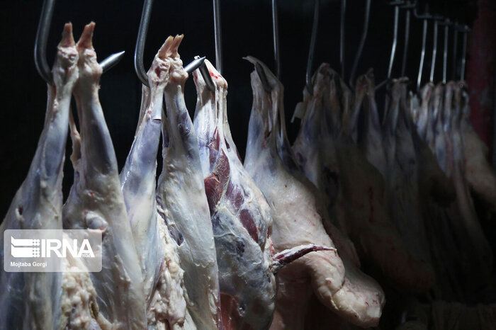 اقتصاد دامپروری در تیررس تب برفکی؛ هوشیاری دامپزشکان سیستان و بلوچستان ضامن امنیت دامی