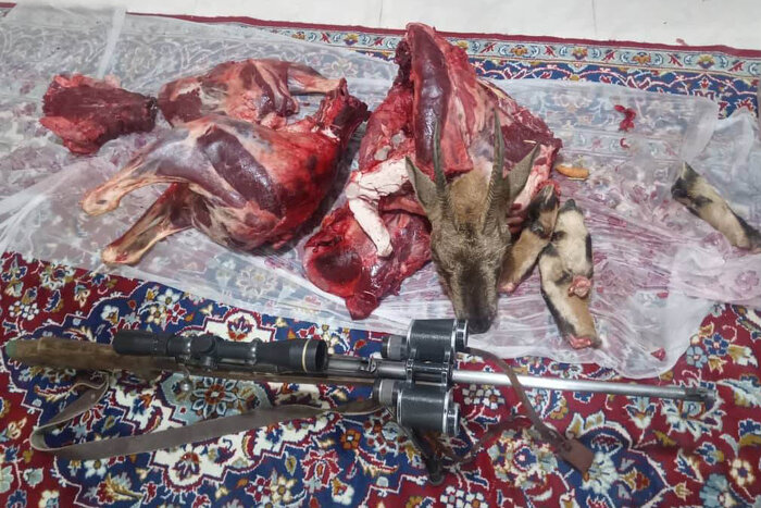 پلمب کارگاه غیرمجاز تولید زغال در شهرستان پیشوا