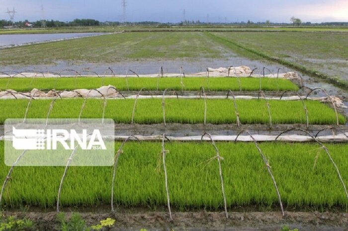 ابیاری نوین