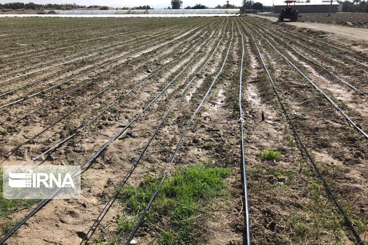 اجرای ۳۵۰ هکتار سامانه نوین آبیاری در اراضی کشاورزی کردستان
