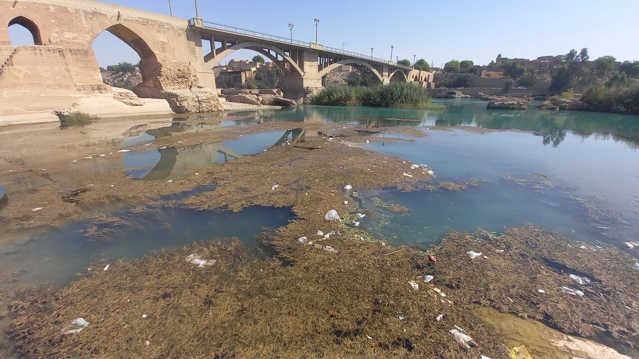 دز زیر سیطره جلبک‌ها