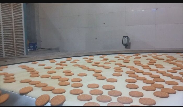 درهشهر؛ از «وکس» تا «کلوچه»، روایتی از زایش فناوری در زاگرس + فیلم