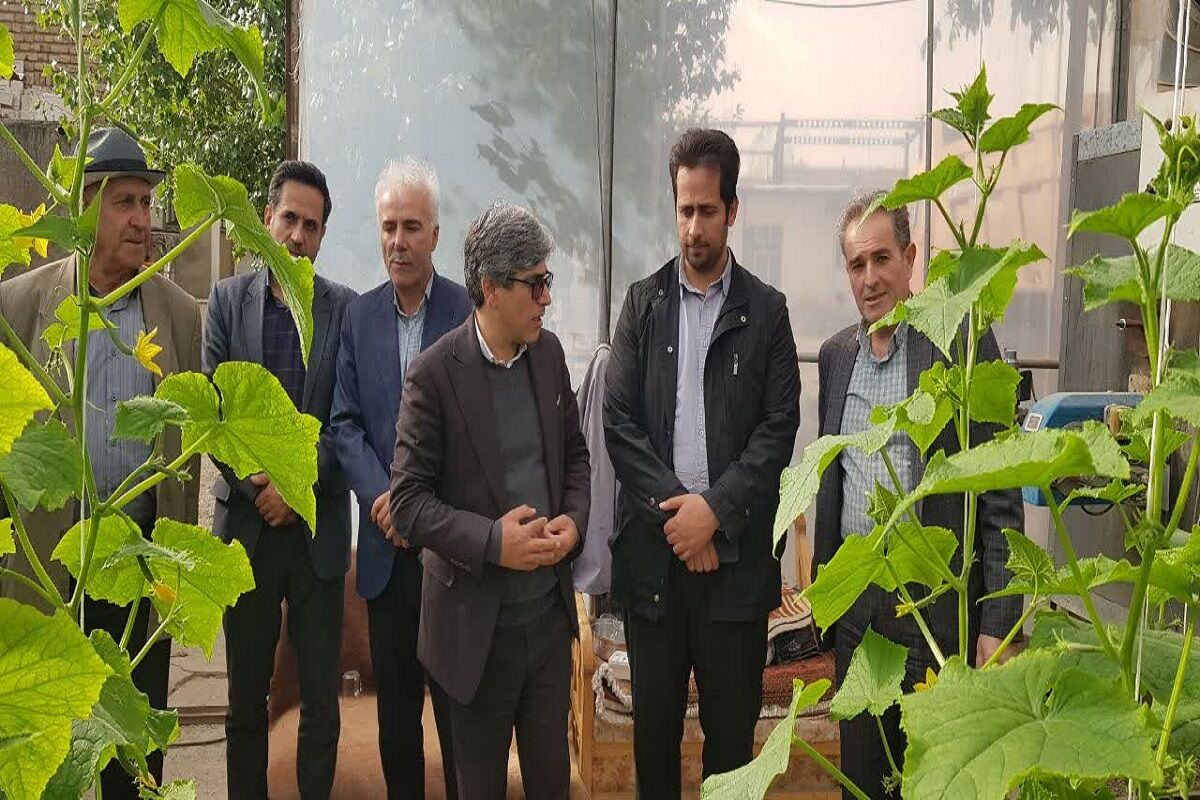 فرماندار نیر: گلخانه‌های شهرستان با راهبرد حمایتی رو به افزایش است