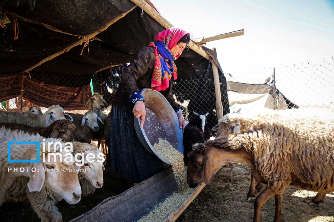 بهره‌مندی عشایر خراسان‌شمالی از اجرای ۷۰۲ میلیارد ریال طرح عمرانی