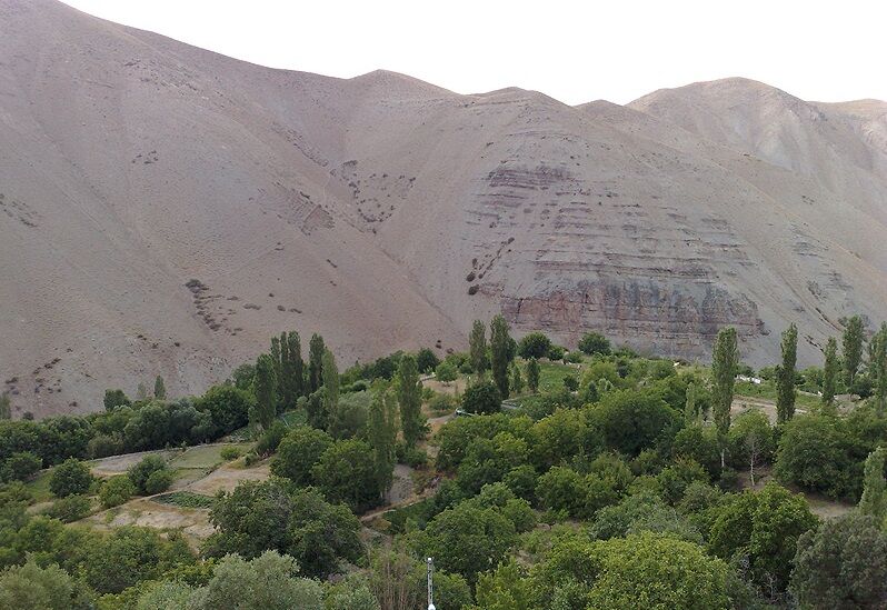 کوه سفید تهران به زیستگاه طبیعی حیات وحش تبدیل شد