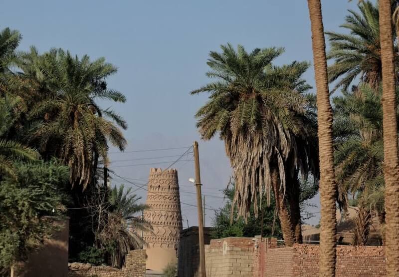 شفیع‌آباد، شیرینیِ میان شوره‌زارها