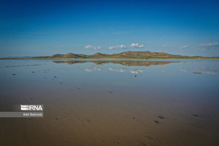 از آموزش تا اقدام؛ روایت تلاش جوانان «آقگل» ملایر برای نجات تالاب