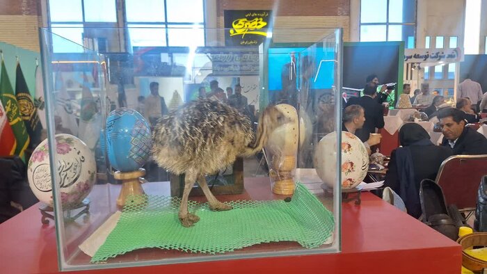 پیوند دو خاک؛ گامهای برادرانه ایران و افغانستان در بیرجند