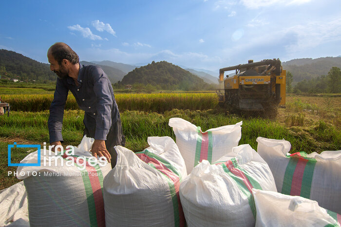 ۱۰ بنای غیر مجاز در اراضی کشاورزی بابل تخریب شد