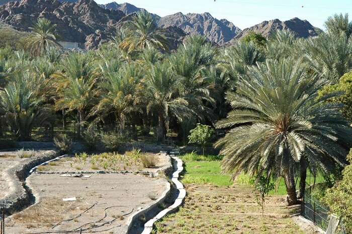 بوشهر مقصد گردشگران پاییزی، بهشت علاقهمندان به دریا، طبیعت و فرهنگ