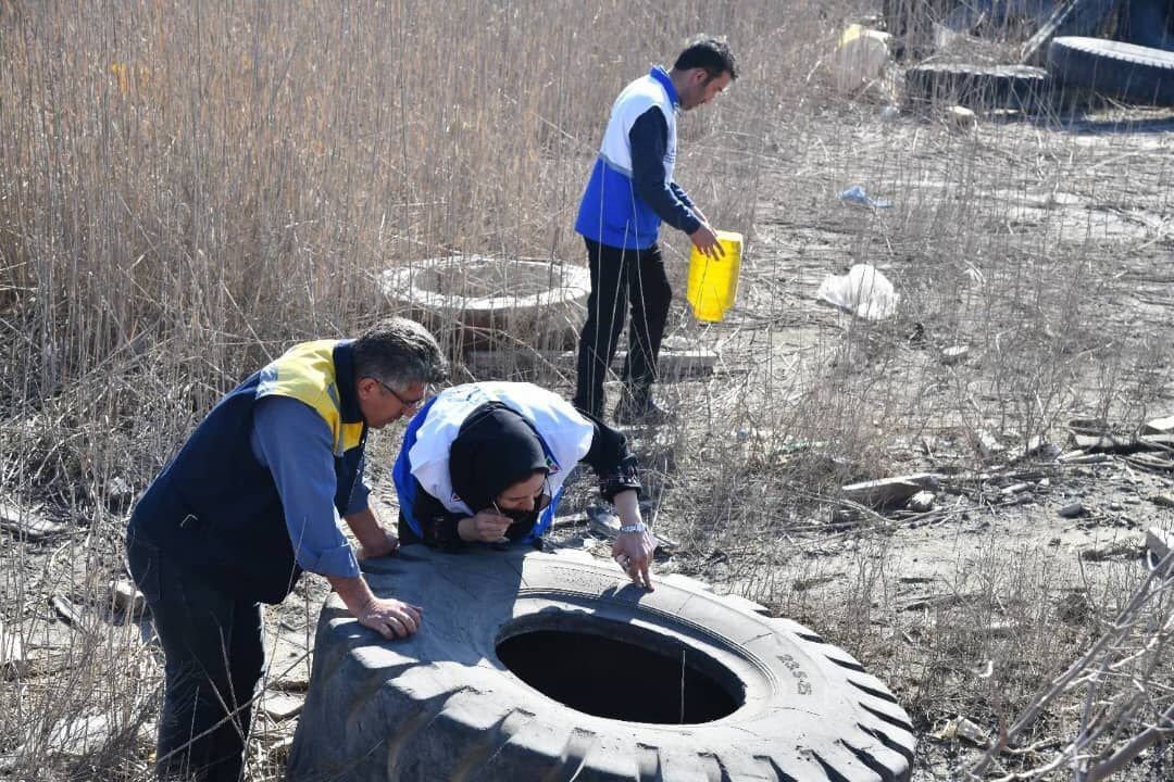 جمع آوری ۲۰ هزار حلقه لاستیک مستعمل برای پیشگیری از تب دنگی در بندر امام