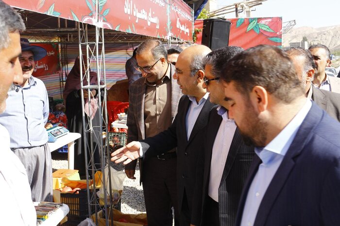 سالانه ۱۰ هزار تُن انار در شهرستان فیروزکوه تولید میشود