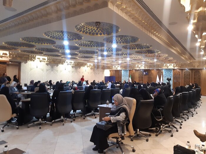 معاون رییس جمهور: رویکرد دولت، توسعه کسب و کارهای خانوادگی است