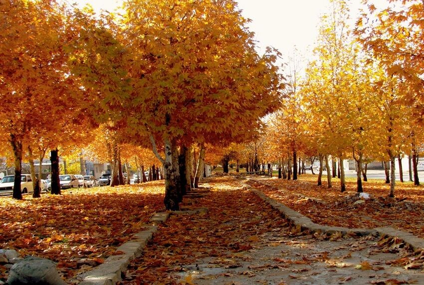 هنرنمایی پاییز در طبیعت زیبای کهگیلویه و بویراحمد - ایرنا