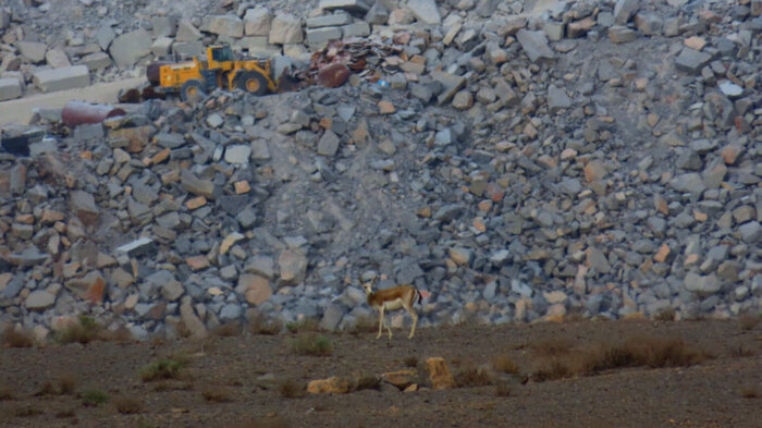 نفس‌های «کلاه قاضی» در تنگنای معدن و جاده + فیلم