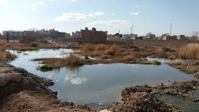 رودخانههایی که زیر بار فاضلاب نفس میکشند؛ روایت آلودگی در شریانهای آبی همدان