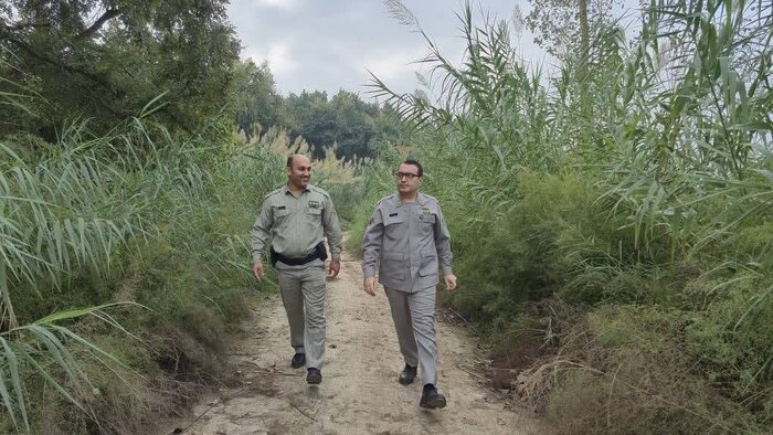 «معیشت پایدار» و «آگاهی همگانی» الزامات حفاظت از تالاب فریدونکنار