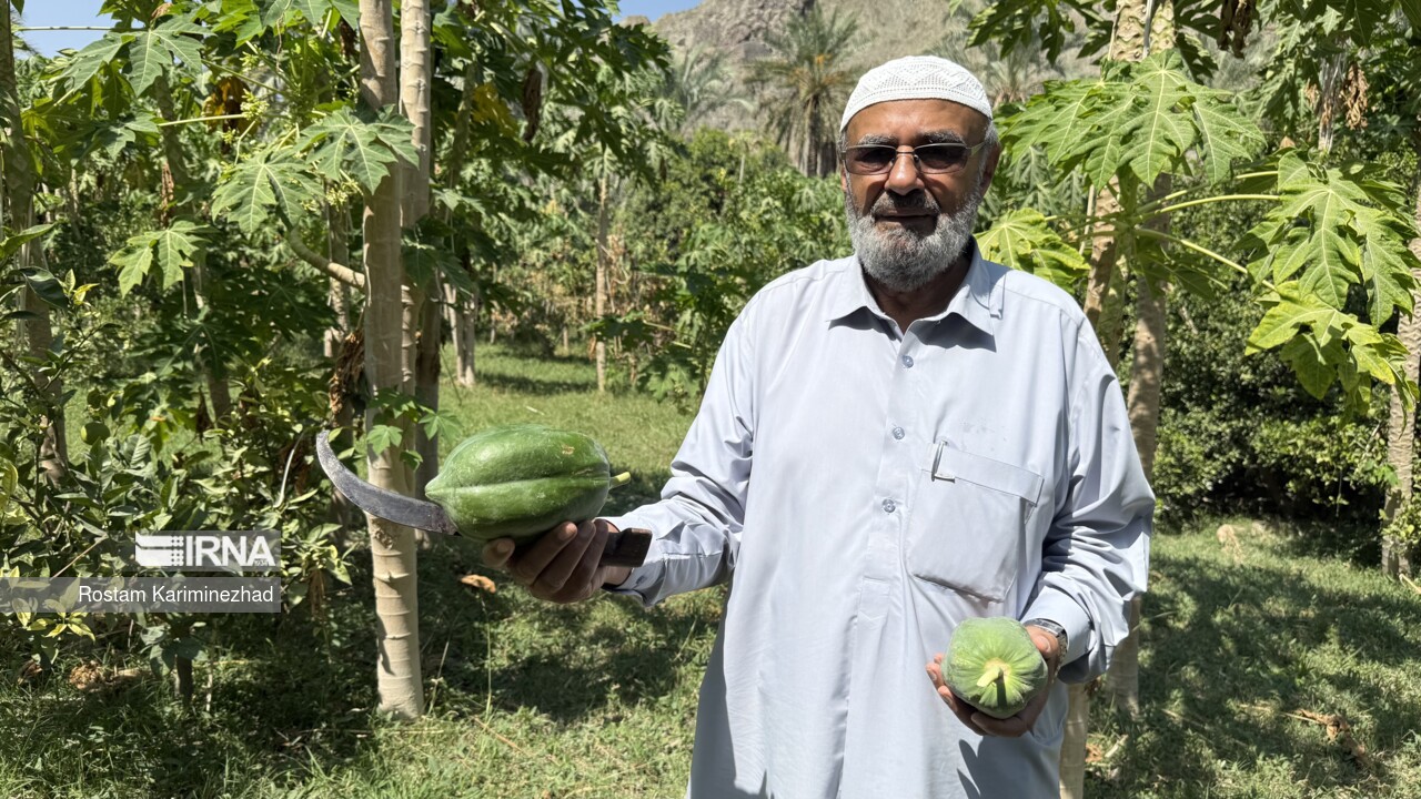 مطالبه کشاورزان سرباز؛ تعیین تکلیف چاه‌ها، اصلاح باغ‌ها و ساخت سدهای آبخیزداری+ فیلم