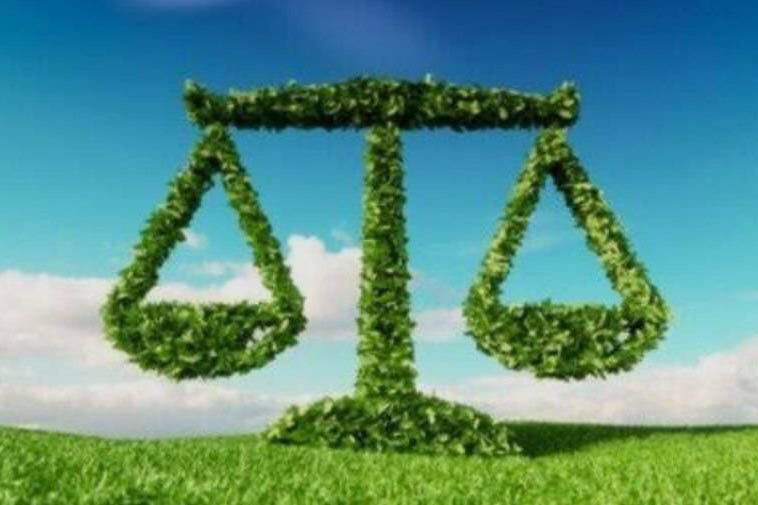 صدور حکم سبز برای چهار متخلف زیست‌محیطی در پلدختر؛ خدمات اجتماعی به جای حبس