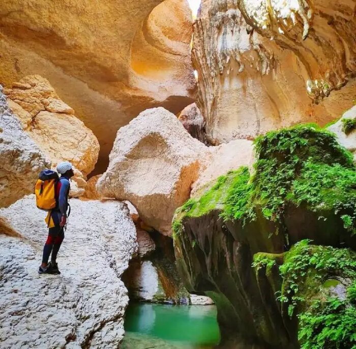 تنگه بوچیر؛ سفر به دل کویر سبز جنوب ایران