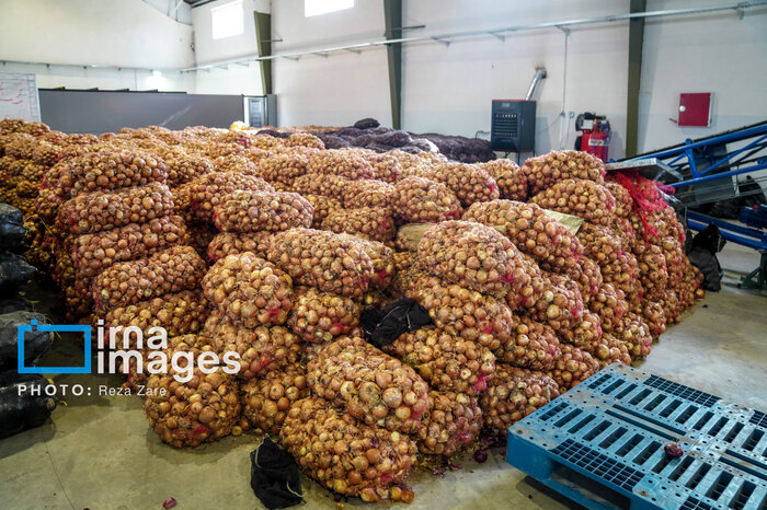 فرماندار اردبیل: زیرساخت‌های کشاورزی تکمیل می‌شود