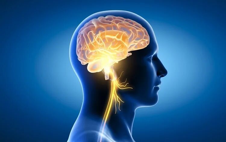 بیماری لثه خطر آسیب مغزی را افزایش میدهد