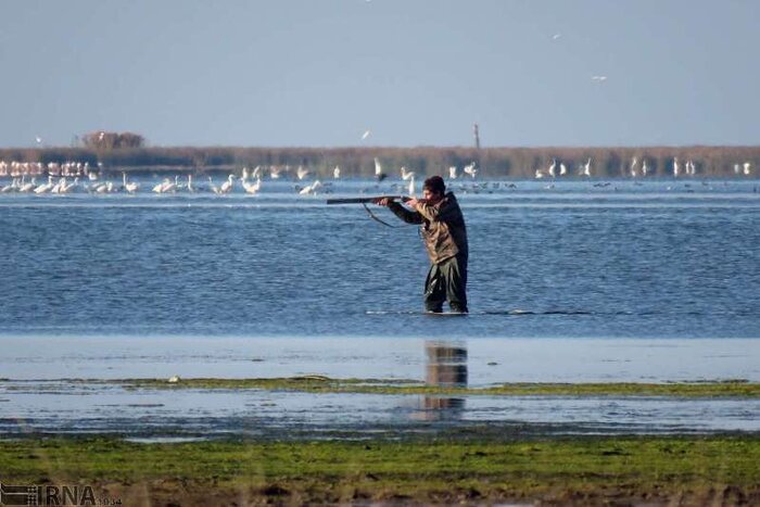 ۱۲۳ تور زیرآبی در پارک ملی بوجاق جمعآوری شد