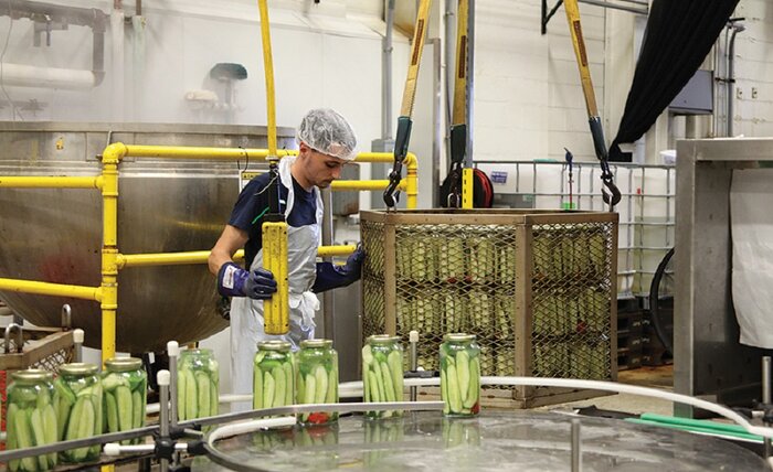 نبرد با تحریم و کاغذبازی، روایت کارافرین ملایری از مسیر سخت تولید تا صادرات