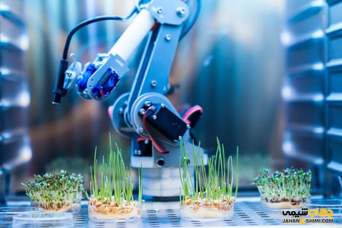 کشت بافت دانش بنیان فارسی؛ نسخه حیات کشاورزی در سالهای خشکسالی