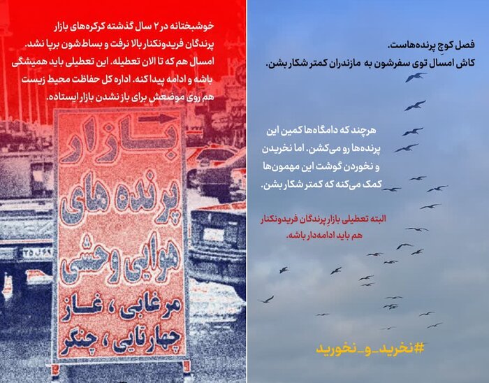 چراغ بازار پرندگان فریدونکنار خاموش میماند