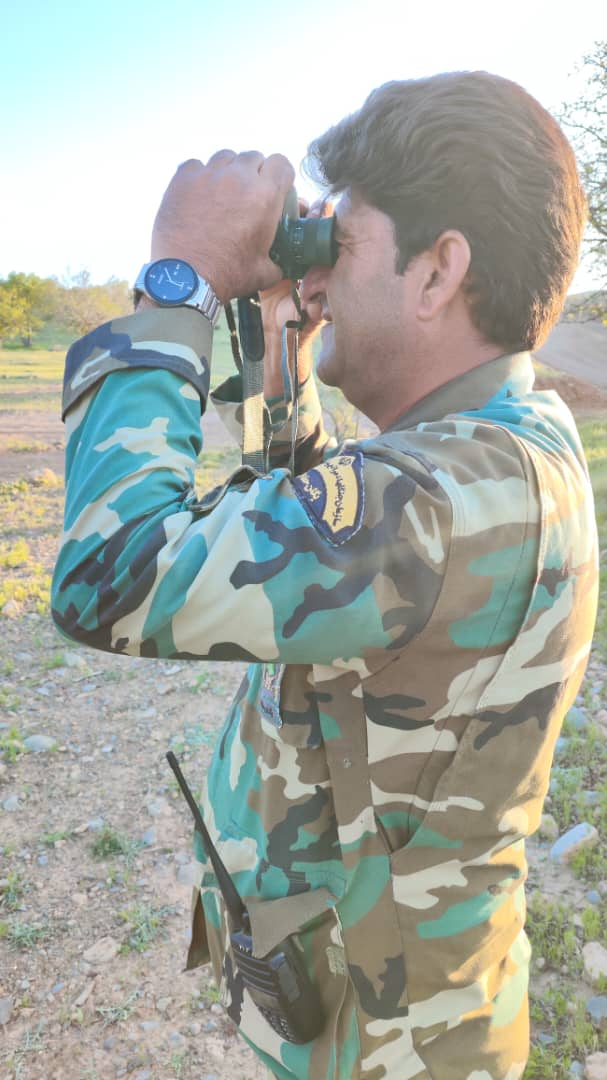 پاسخ منابع طبیعی به متخلفان ارسنجان؛ آتشی که به جان خودرویشان افتاد