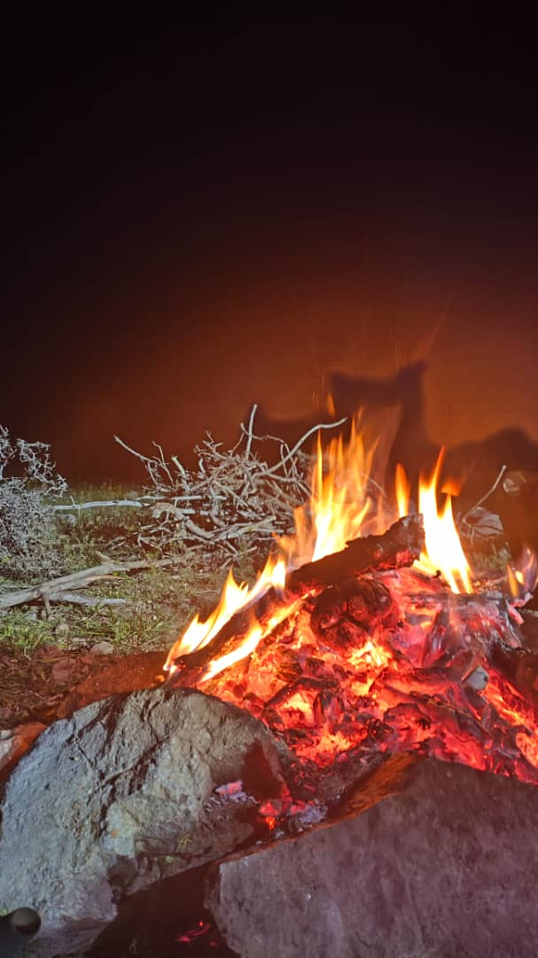 پاسخ منابع طبیعی به متخلفان ارسنجان؛ آتشی که به جان خودرویشان افتاد