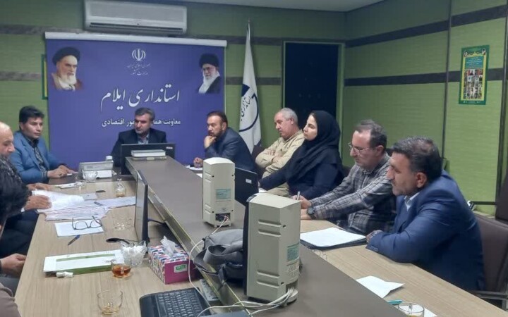 معاون استاندار: روند توسعه نیروگاه‌های خورشیدی در ایلام شتاب گرفته است