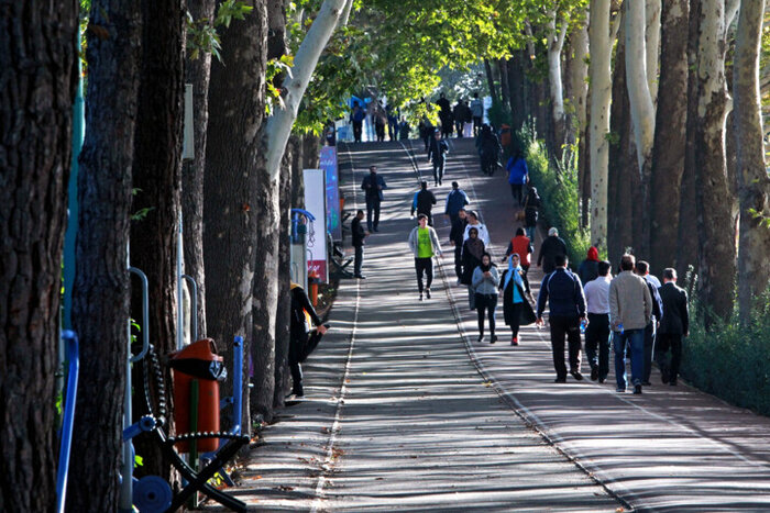 راز طول عمر سالمندان؛ پیاده‌روی کوتاه و منظم تنها با ۴۰۰۰ قدم
