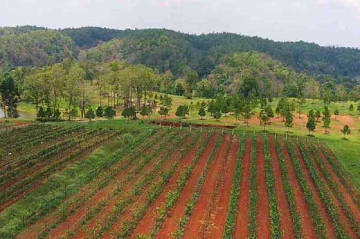 مدیرکل منابع طبیعی اردبیل: ۲۰ هزار میلیارد ریال برای طرح‌های آبخیزداری اختصاص می‌یابد