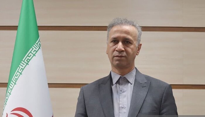 گردوی مرغوب عجب شیر، گرفتار خام فروشی