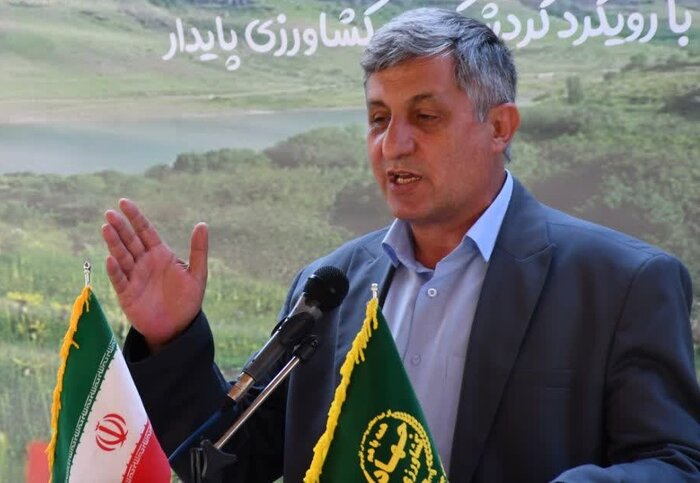 گردوی مرغوب عجب شیر، گرفتار خام فروشی