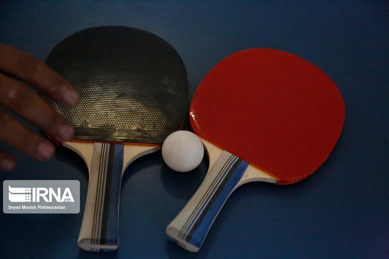 بیش از ۵۰۰ تنیسور در زنجان ساماندهی شده‌اند